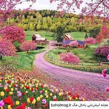 نوشابه